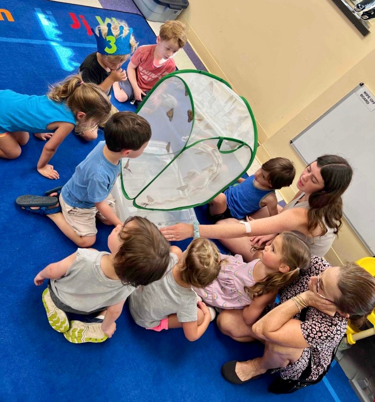 Butterflies inspire summer program at The Community Synagogue