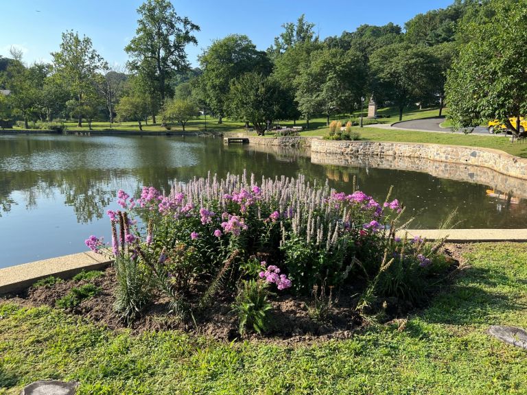 North Hempstead continues to add pollinator habitats