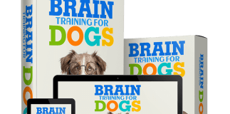 Brain Training For Dogs PDF