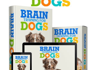 Brain Training For Dogs PDF