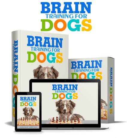 Brain Training For Dogs PDF