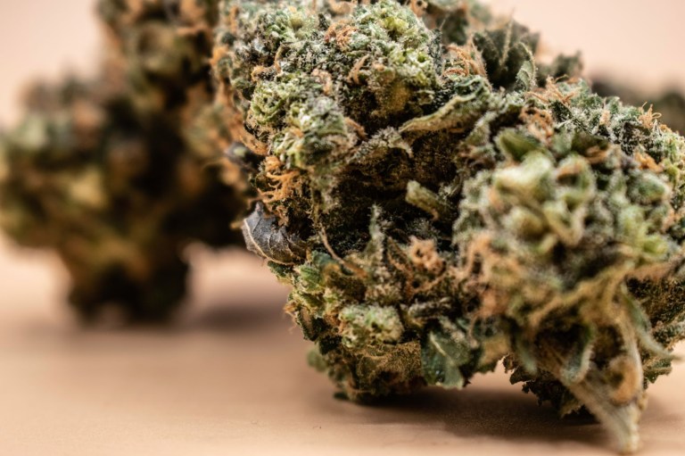 Best Delta 8 Flower: Buy Weed From Top 5 D8 Brands In 2022