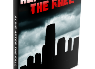 Alive After The Fall