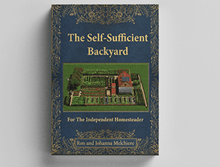 Self Sufficient Backyard review