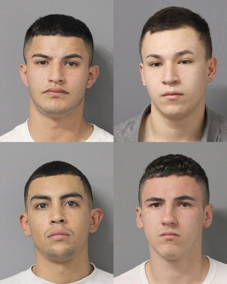 Four men busted in six burglaries across N. Shore