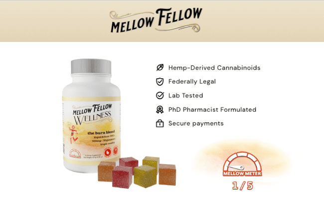 Mellow Fellow THCv Gummies 