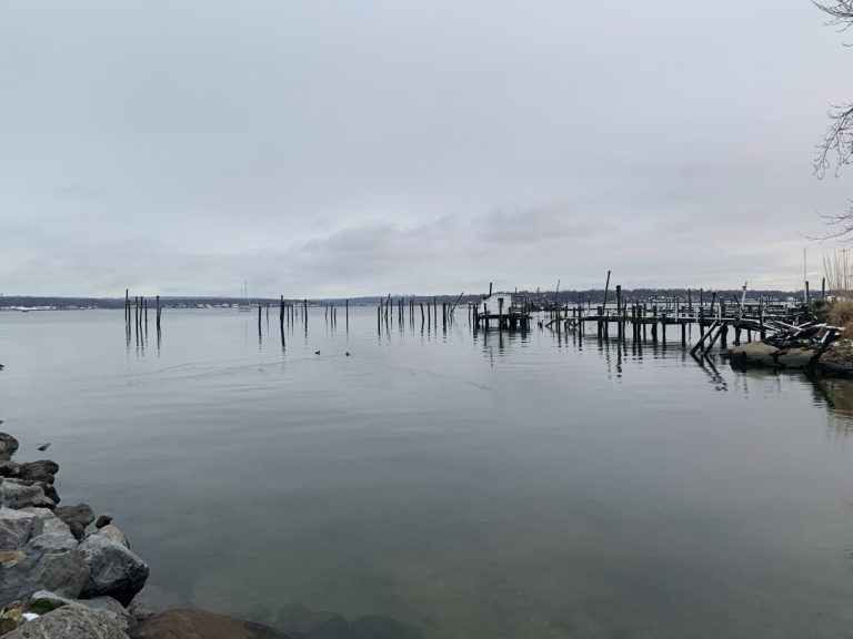 Body retrieved from Safe Harbor Marina: Police Body retrieved from Safe Harbor Marina: Police