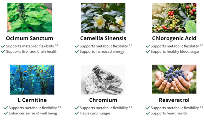 Ingredients in Metabo Flex Weight Loss Supplement