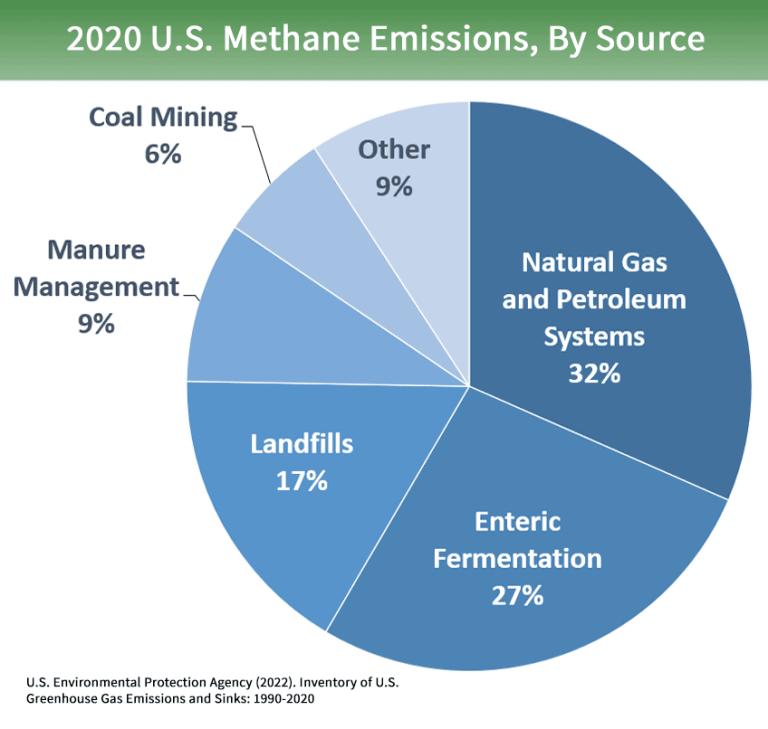 Earth Matters: Gas stoves are just not environmentally sound Earth Matters: Gas stoves are just not environmentally sound