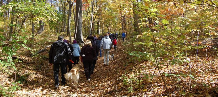 Enjoy guided nature hikes at Sands Point Preserve