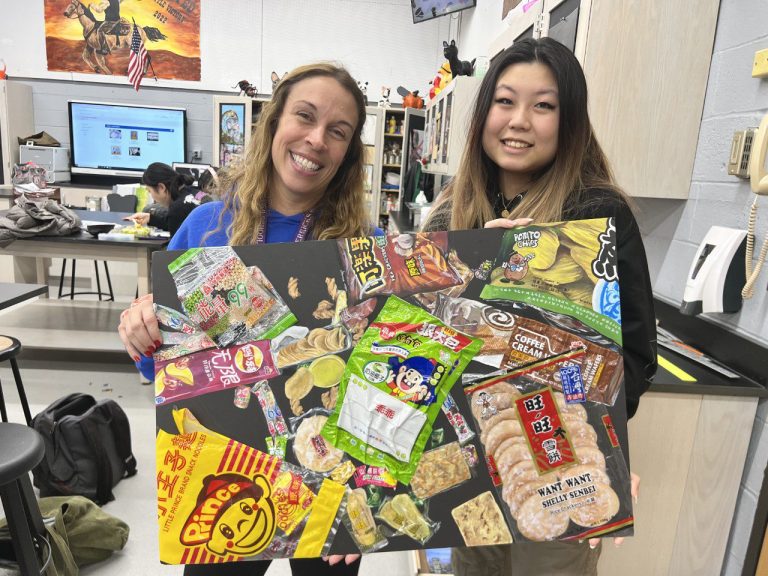 Herricks High School senior artist recognized
