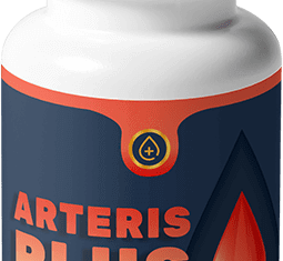 Arteris Plus