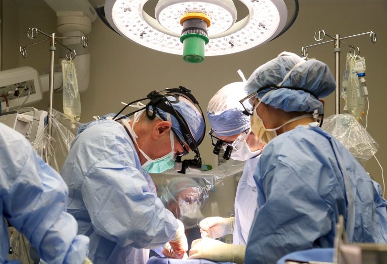 Northwell cardiac surgery, cardiology programs rank among New York’s best