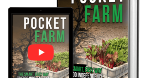 Pocket Farm Review