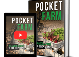 Pocket Farm Review