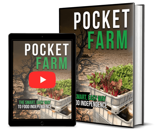 Pocket Farm Review