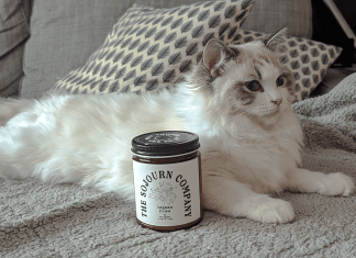 Best Candles for Pet Odor