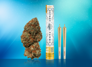 Best HHC Pre Rolls