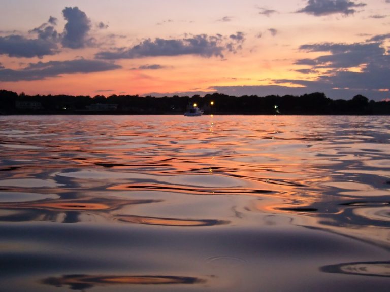 Shellfish survey about to begin in Manhasset Bay