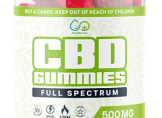 Twin Elements CBD Gummies