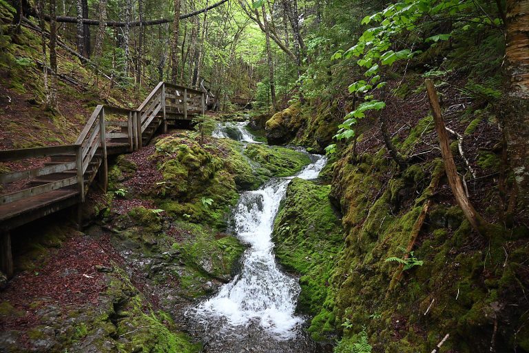 Going Places: New Brunswick Roadtrip: Discovering Fundy Trail Parkway, Fundy National Park, Cape Enrage Going Places: New Brunswick Roadtrip: Discovering Fundy Trail Parkway, Fundy National Park, Cape Enrage