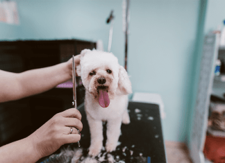 Best Pet Business Insurance NJ