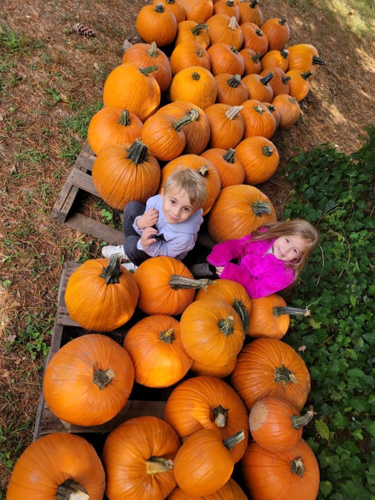 Unitarian Universalist Congregation of Central Nassau in Garden City pumpkin patch is back!