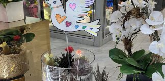 Great Neck Dove Project