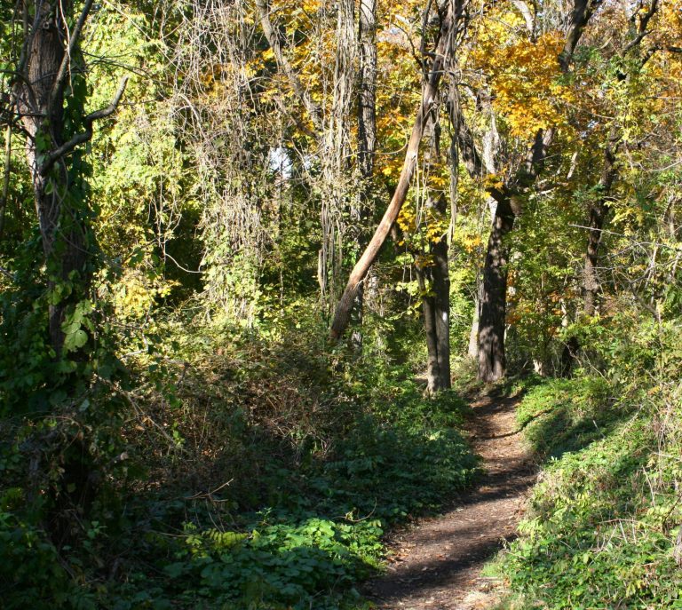 Readers Write: Landscape and Wilderness Readers Write: Landscape and Wilderness
