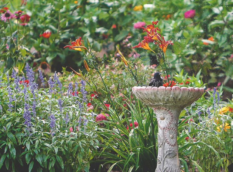 Floral Park’s Christine Kozak capturing beauty of Centennial Gardens with yearly calendar