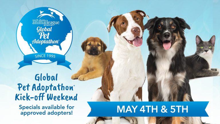 North Shore Animal League America launches their 30th Annual Global Pet Adoptathon on Saturday, May 4, Sunday May 5 North Shore Animal League America launches their 30th Annual Global Pet Adoptathon on Saturday, May 4, Sunday May 5