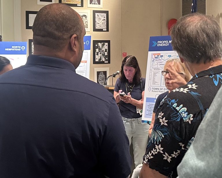 Residents call for environmental protections for Long Island transmission line project Residents call for environmental protections for Long Island transmission line project