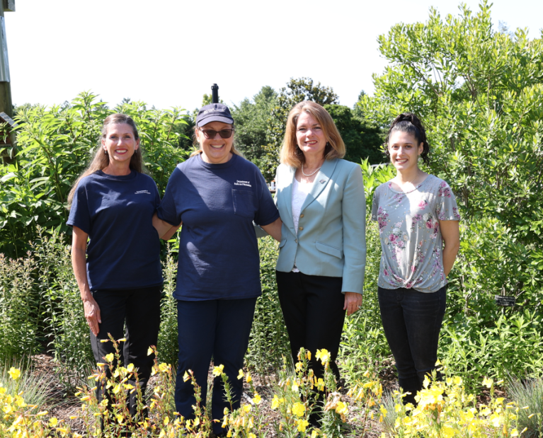 North Hempstead proclaims Pollinator Week 2024