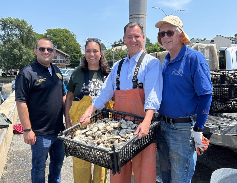 Oyster gardens bloom once again in the Long Island Sound