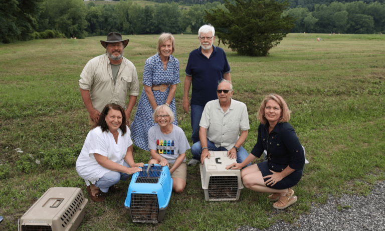 North Hempstead releases quails to mitigate tick population
