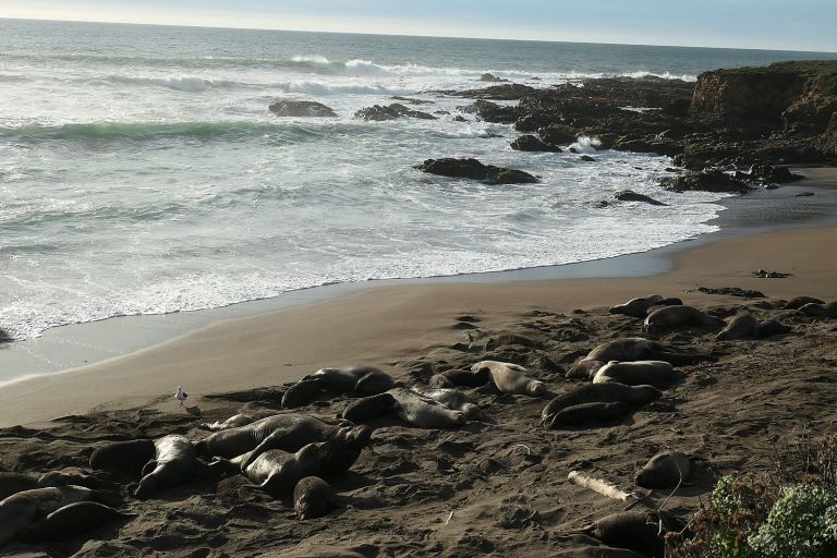 Going Places: Cambria is Great Base for California Pacific Highway 1 Roadtrip