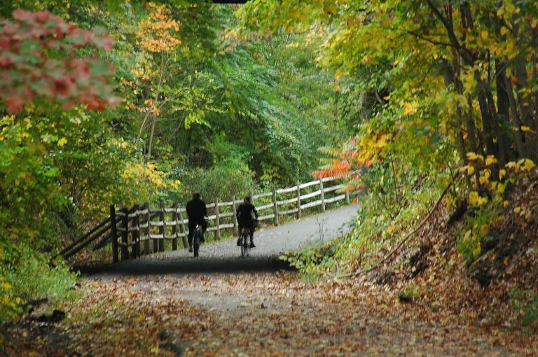 Going Places: Best Road Trips for Leaf Peeping this Fall