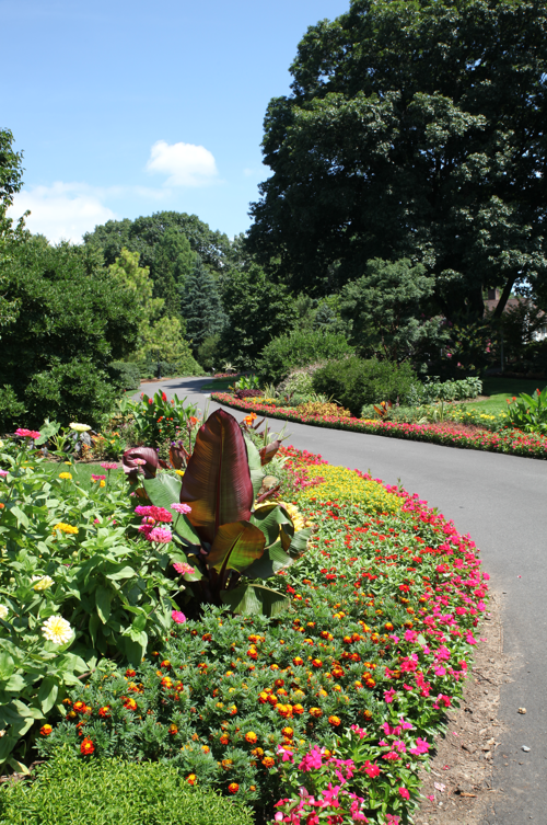 North Hempstead awarded 2nd place in All-America Selections Landscape Design Challenge