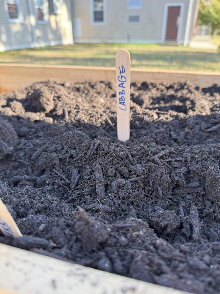 Great Neck Library’s Annual Great Give Back Event: Vegetable Planting at the Parkville Branch